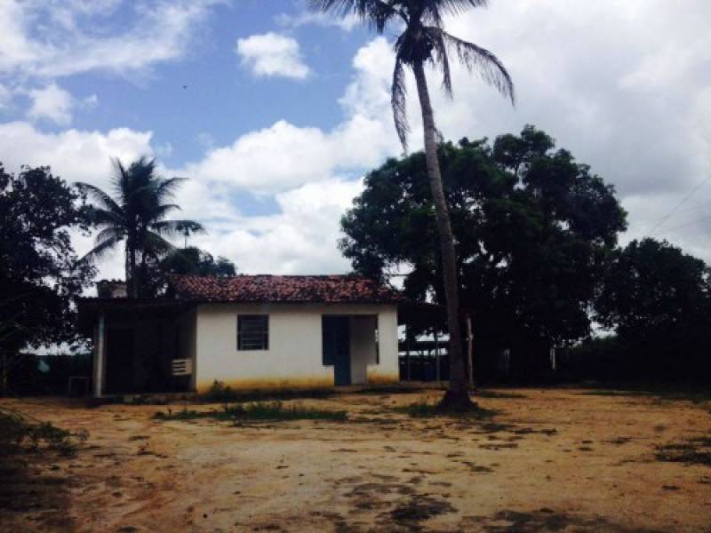 Sítio,Granja,Área rural.